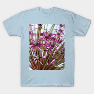 Allium  &#39;Spider&#39;  Ornamental onion T-Shirt